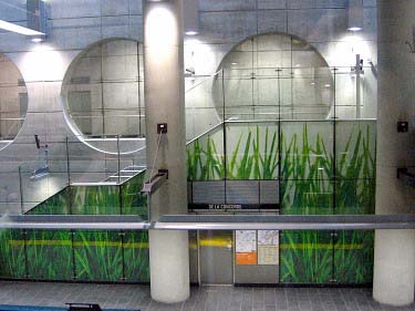 Grass mural and circular windows