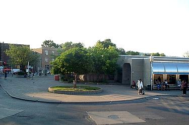 Landscaping outside the kiosk