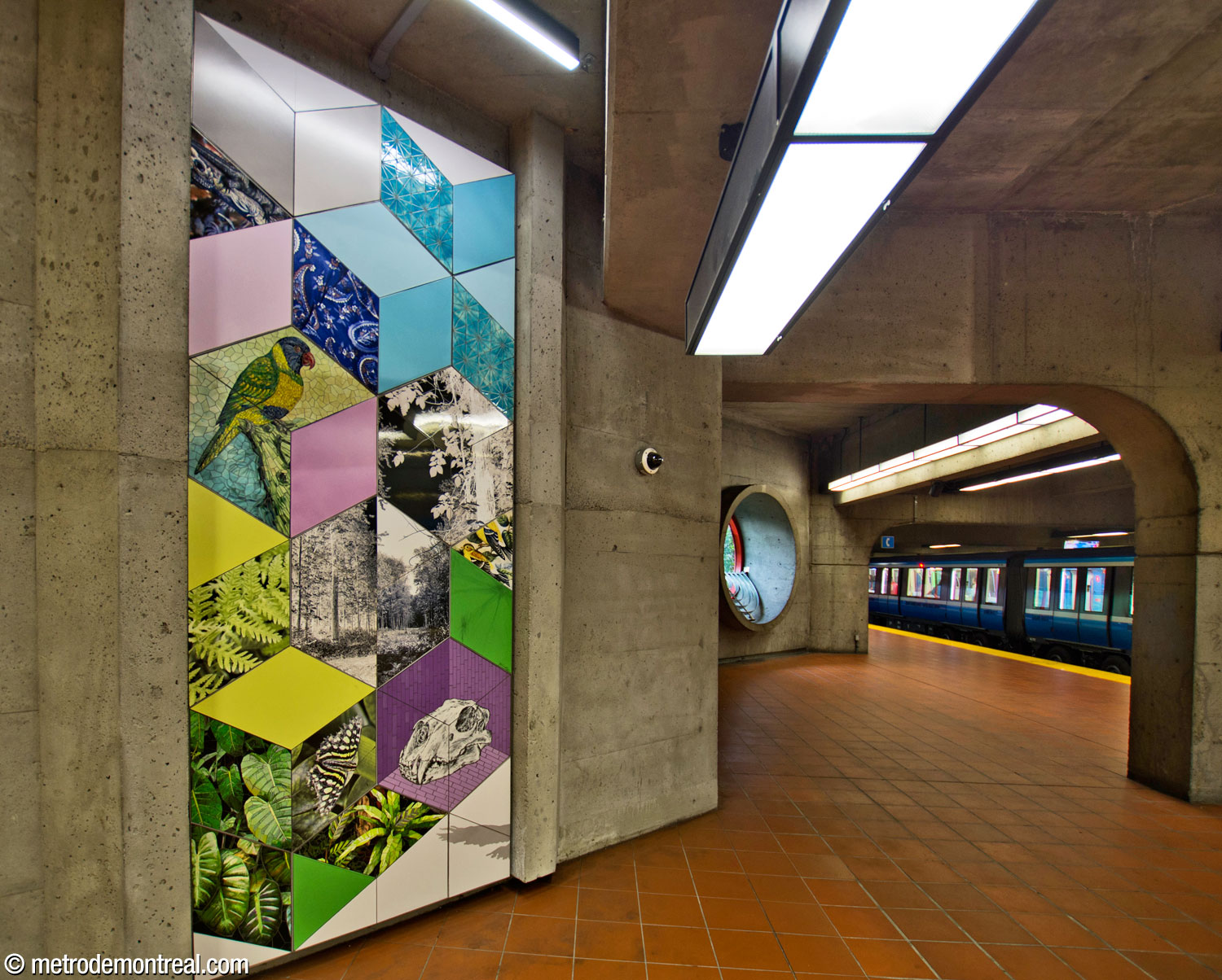 One section of Shelley Miller's artwork Les boîtes vivantes, located on the arrival platform near the stairs and elevator.