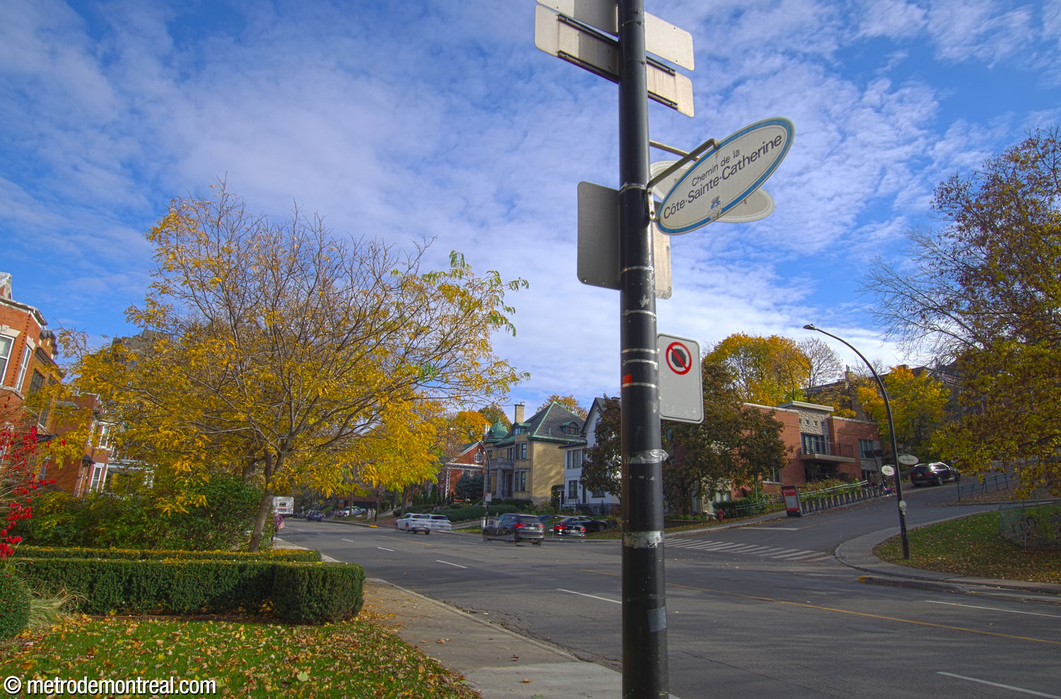 Le chemin de la Côte-Sainte-Catherine, à Outremont
