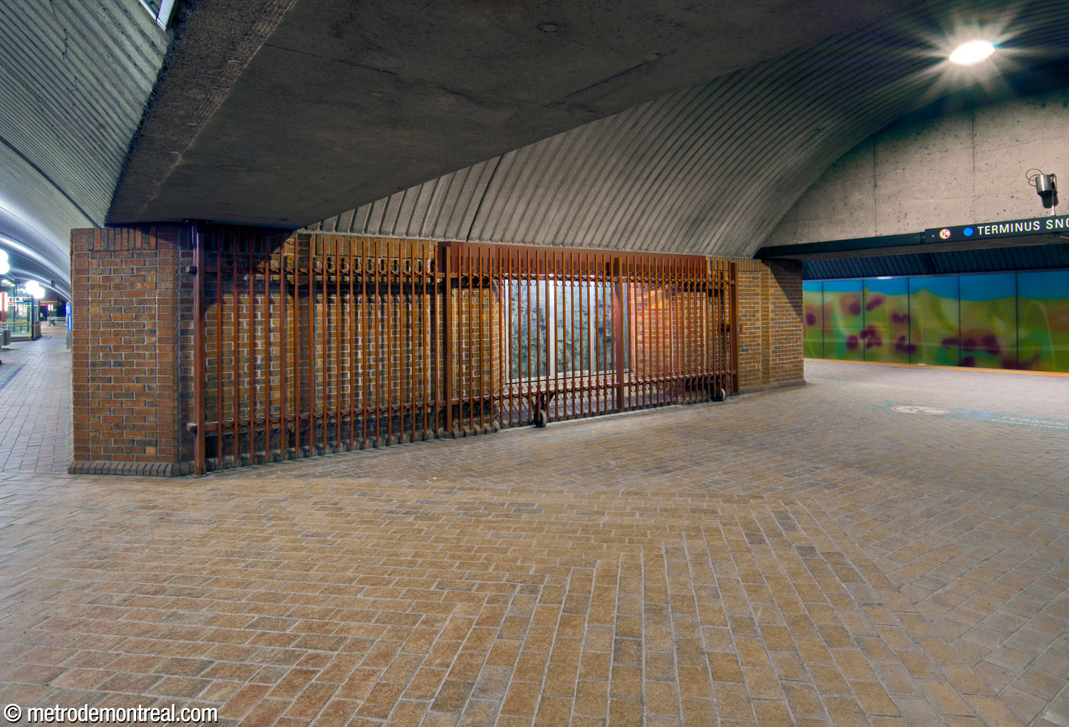Unfortunately, the geology windows on the blue line side are blocked by long gates that are used to close off the blue line platforms after service ends.