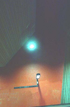 Missing skylight